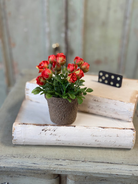 Pixi Posie Pot | 5" | Flame | NOT CURRENTLY IN STOCK-New For Spring 2027!