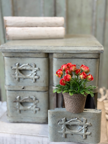 Pixi Posie Pot | 5" | Flame | NOT CURRENTLY IN STOCK-New For Spring 2027!