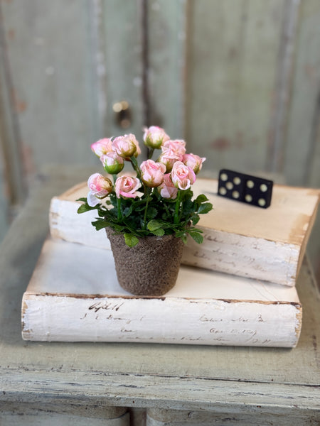 Pixi Posie Pot | 5" | Pink | NOT CURRENTLY IN STOCK-New For Spring 2027!