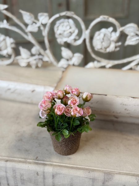 Pixi Posie Pot | 5" | Pink | NOT CURRENTLY IN STOCK-New For Spring 2027!