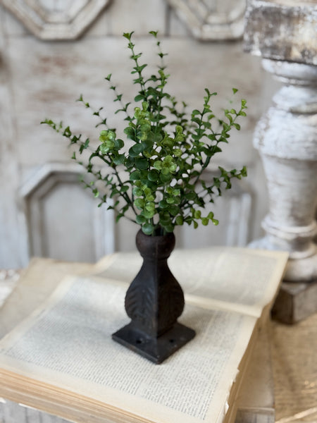 Cicero Eucalyptus Bush | 12.5" | NOT CURRENTLY IN STOCK-New For Spring 2027!