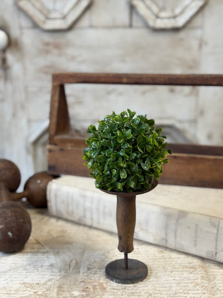Carrick Boxwood Ball | 5" | NOT CURRENTLY IN STOCK-New For Spring 2027!