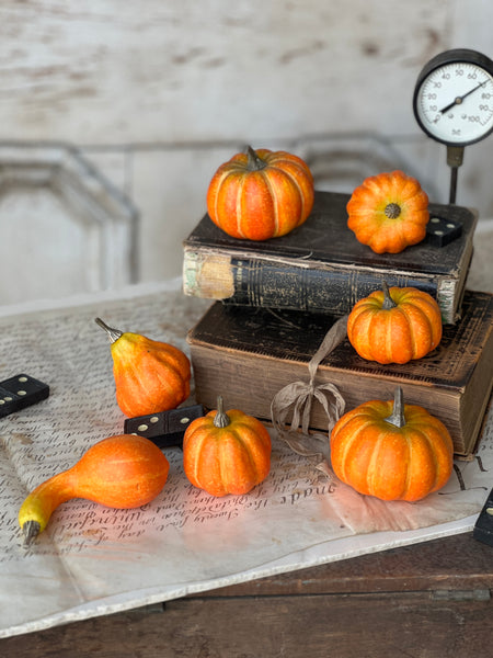 Hooligan Pumpkins | 7 pcs | SOLD OUT