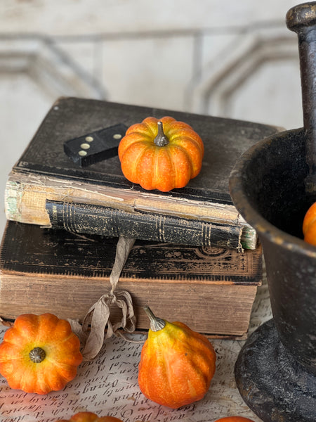 Hooligan Pumpkins | 7 pcs | SOLD OUT