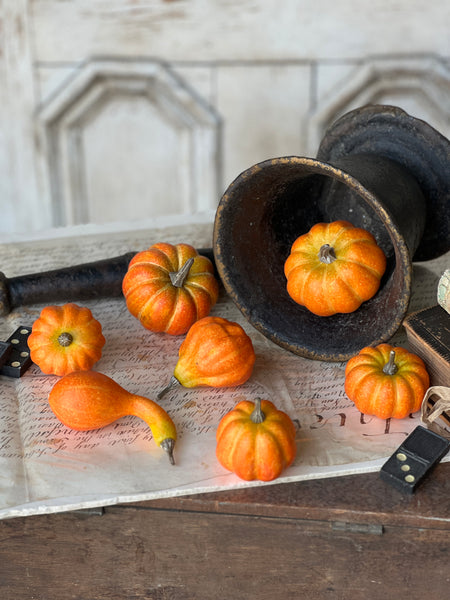 Hooligan Pumpkins | 7 pcs | SOLD OUT