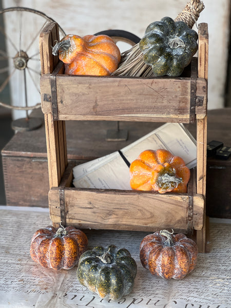 Rascal Pumpkin & Gourd Mix | 6 pcs | CLEAN UP SPECIAL!  From $4.95 - Last 30 sets!