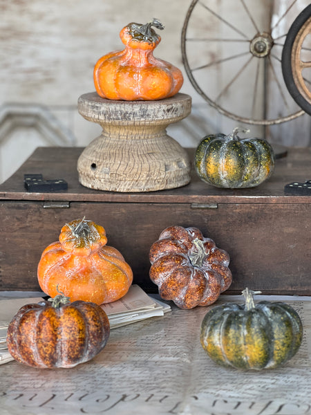 Rascal Pumpkin & Gourd Mix | 6 pcs | CLEAN UP SPECIAL!  From $4.95 - Last 30 sets!
