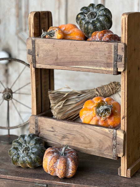 Rascal Pumpkin & Gourd Mix | 6 pcs | CLEAN UP SPECIAL!  From $4.95 - Last 30 sets!