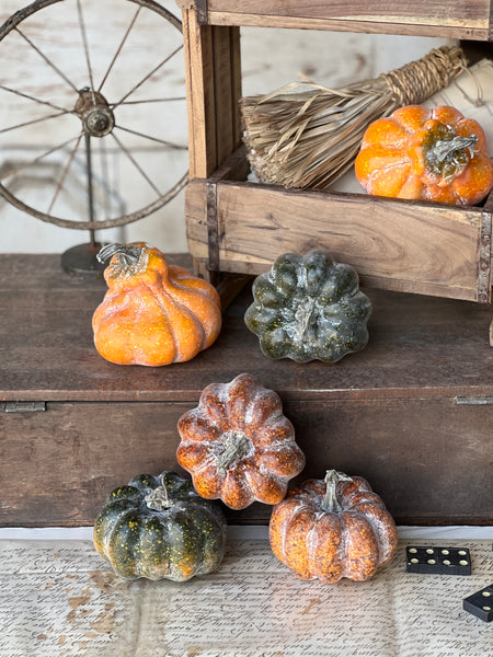 Rascal Pumpkin & Gourd Mix | 6 pcs | CLEAN UP SPECIAL!  From $4.95 - Last 30 sets!
