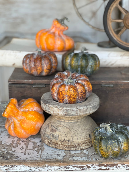 Rascal Pumpkin & Gourd Mix | 6 pcs | CLEAN UP SPECIAL!  From $4.95 - Last 30 sets!