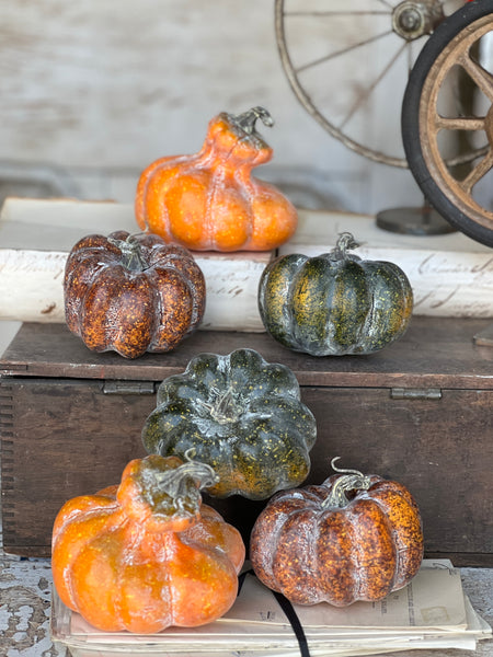 Rascal Pumpkin & Gourd Mix | 6 pcs | CLEAN UP SPECIAL!  From $4.95 - Last 30 sets!