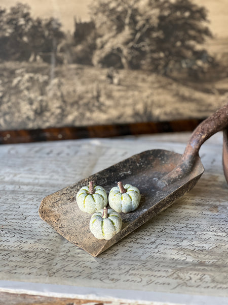Copperfield Pumpkins | Green