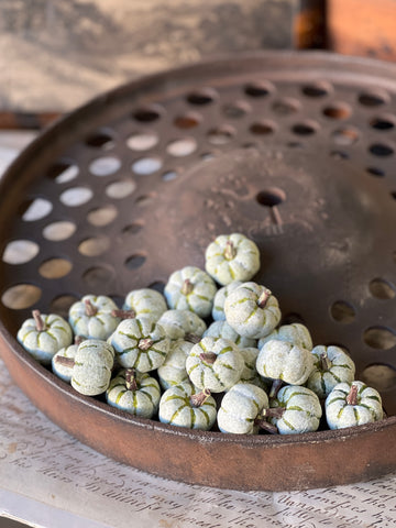 Copperfield Pumpkins | Green