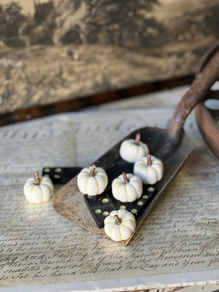 Copperfield Pumpkins | Cream