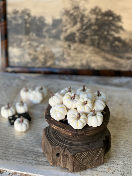 Copperfield Pumpkins | Cream