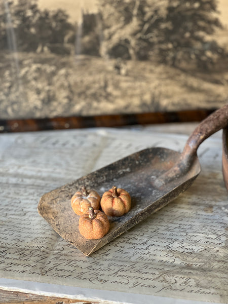 Copperfield Pumpkins | Rust | SOLD OUT