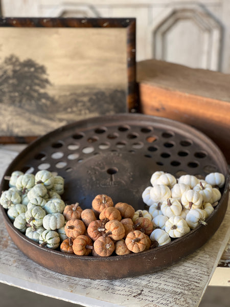 Copperfield Pumpkins | Rust | SOLD OUT