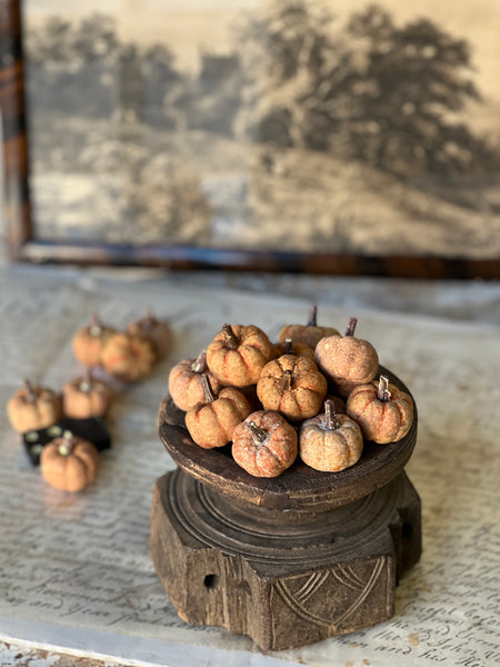 Copperfield Pumpkins | Rust | SOLD OUT