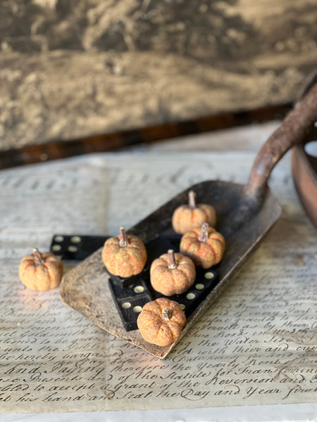 Copperfield Pumpkins | Rust | SOLD OUT