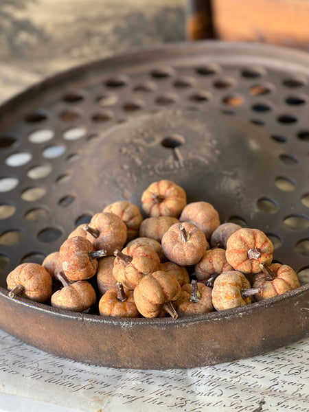 Copperfield Pumpkins | Rust | SOLD OUT