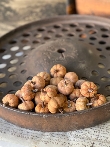Copperfield Pumpkins | Rust | SOLD OUT