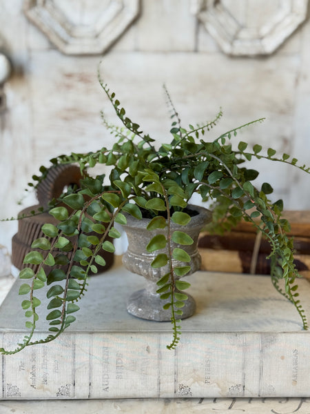 Pemberly Urn | 14" | Button | NOT CURRENTLY IN STOCK-New For Spring 2027!