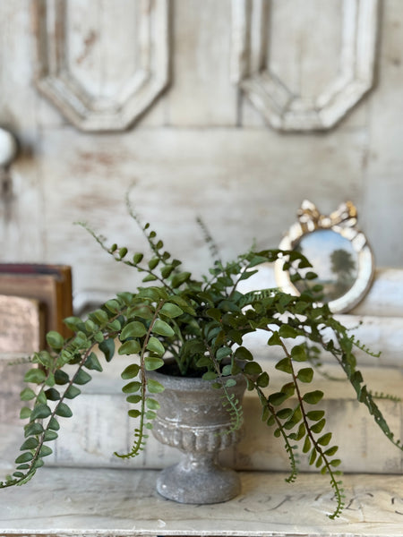 Pemberly Urn | 14" | Button | NOT CURRENTLY IN STOCK-New For Spring 2027!