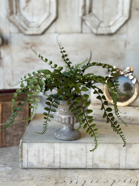 Pemberly Urn | 14" | Button | NOT CURRENTLY IN STOCK-New For Spring 2027!
