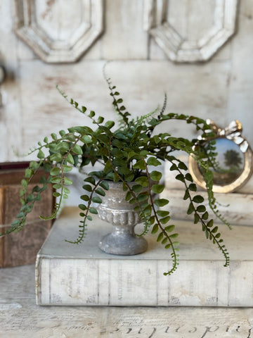 Pemberly Urn | 14" | Button | NOT CURRENTLY IN STOCK-New For Spring 2027!