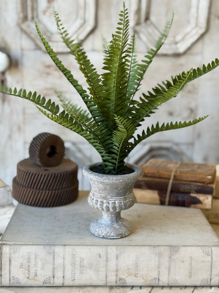 Pemberly Urn | 14" | Boston | NOT CURRENTLY IN STOCK-New For Spring 2027!