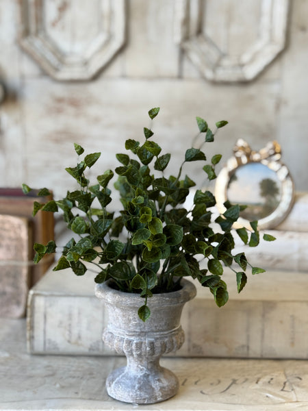 Pemberly Urn | 13" | Pod | NOT CURRENTLY IN STOCK-New For Spring 2027!