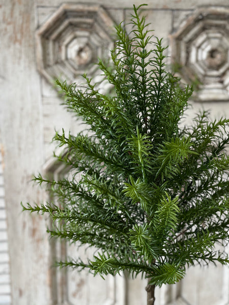 Rosemary Topiary | 33" | NOT CURRENTLY IN STOCK-New For Spring 2027!