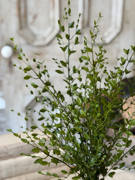 Amity Leaves Bush | 22" | NOT CURRENTLY IN STOCK-New For Spring 2027!