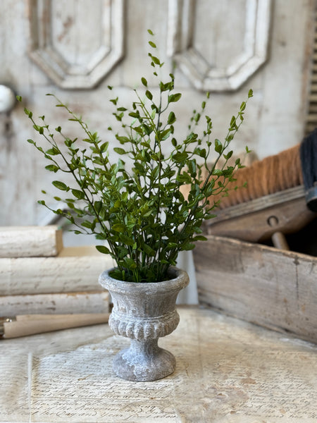 Amity Leaves in Urn | 15" | NOT CURRENTLY IN STOCK-New For Spring 2027!
