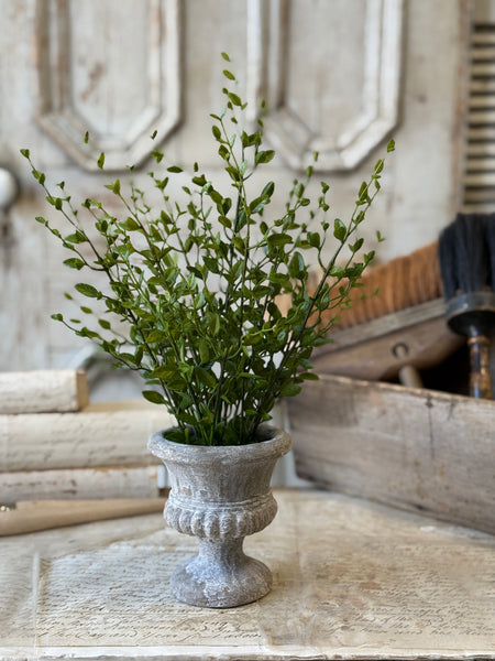 Amity Leaves in Urn | 15" | NOT CURRENTLY IN STOCK-New For Spring 2027!