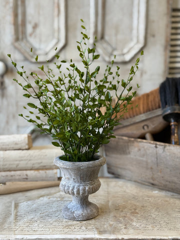 Amity Leaves in Urn | 15" | NOT CURRENTLY IN STOCK-New For Spring 2027!