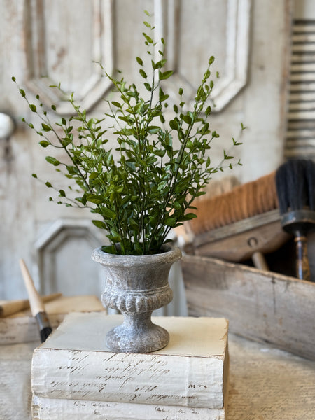 Amity Leaves in Urn | 15" | NOT CURRENTLY IN STOCK-New For Spring 2027!