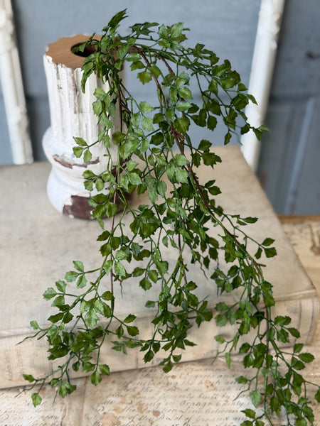 Tansy Leaf Hanging | 27" | NOT CURRENTLY IN STOCK-New For Spring 2027!