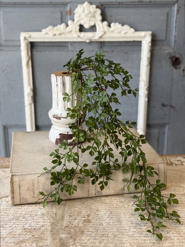 Tansy Leaf Hanging | 27" | NOT CURRENTLY IN STOCK-New For Spring 2027!