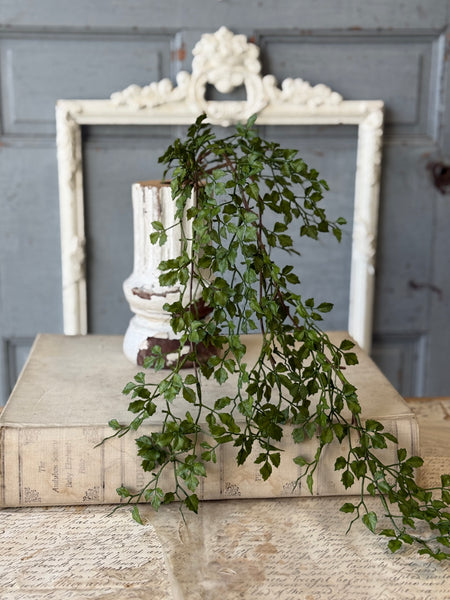 Tansy Leaf Hanging | 27" | NOT CURRENTLY IN STOCK-New For Spring 2027!