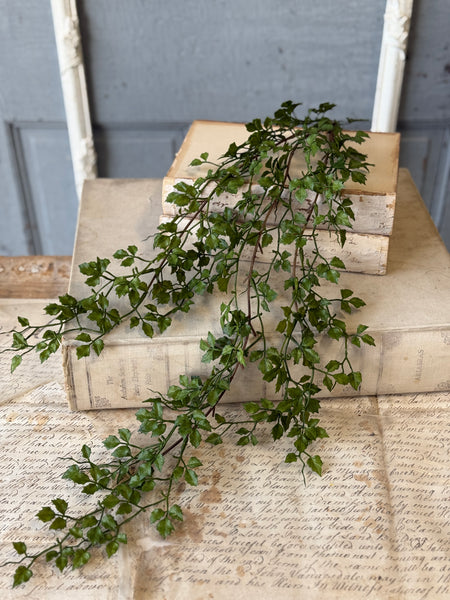 Tansy Leaf Hanging | 27" | NOT CURRENTLY IN STOCK-New For Spring 2027!