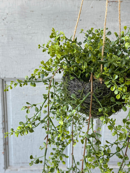 Proverb Hanging Nest | 36" | NOT CURRENTLY IN STOCK-New For Spring 2027!
