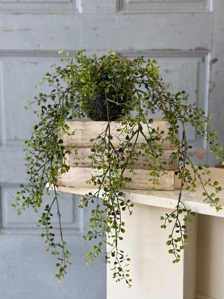Proverb Hanging Nest | 32" | NOT CURRENTLY IN STOCK-New For Spring 2027!