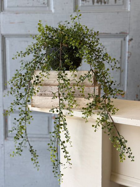 Proverb Hanging Nest | 36" | NOT CURRENTLY IN STOCK-New For Spring 2027!
