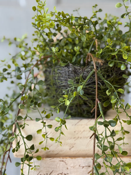 Proverb Hanging Nest | 36" | NOT CURRENTLY IN STOCK-New For Spring 2027!