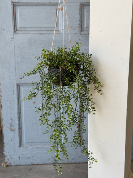 Proverb Hanging Nest | 36" | NOT CURRENTLY IN STOCK-New For Spring 2027!