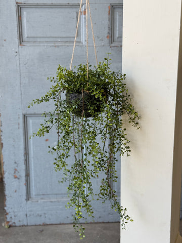 Proverb Hanging Nest | 36" | NOT CURRENTLY IN STOCK-New For Spring 2027!