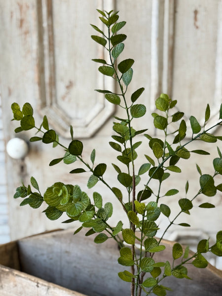 Silas Eucalyptus Bundle | 24" | NOT CURRENTLY IN STOCK-New For Spring 2027!