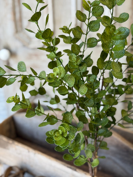 Silas Eucalyptus Bundle | 28" | NOT CURRENTLY IN STOCK-New For Spring 2027!