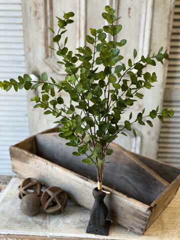 Silas Eucalyptus Bundle | 28" | NOT CURRENTLY IN STOCK-New For Spring 2027!